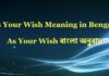 As Your Wish Meaning in Bengali