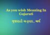 As Your Wish Meaning in Gujarati