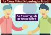 As Your Wish Meaning in Hindi