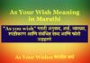 As Your Wish Meaning in Marathi