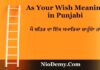 As Your Wish Meaning in Punjabi